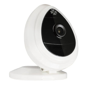 Monitoring Security Camera