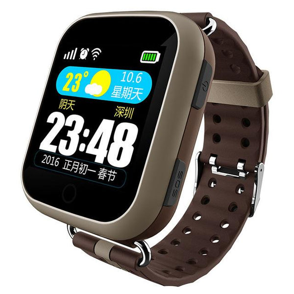 Elderly Monitoring Smart Watch
